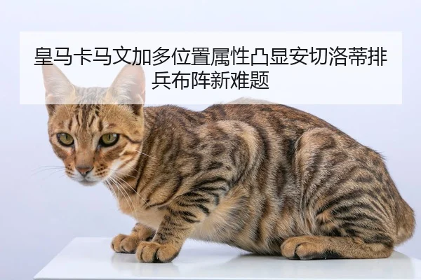 皇马卡马文加多位置属性凸显安切洛蒂排兵布阵新难题